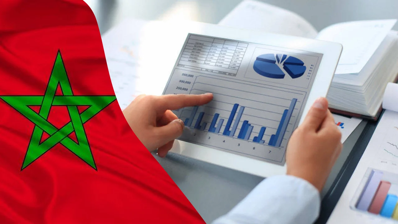 Morocco to Suspend Frozen Sardine Exports Starting February 1, 2026